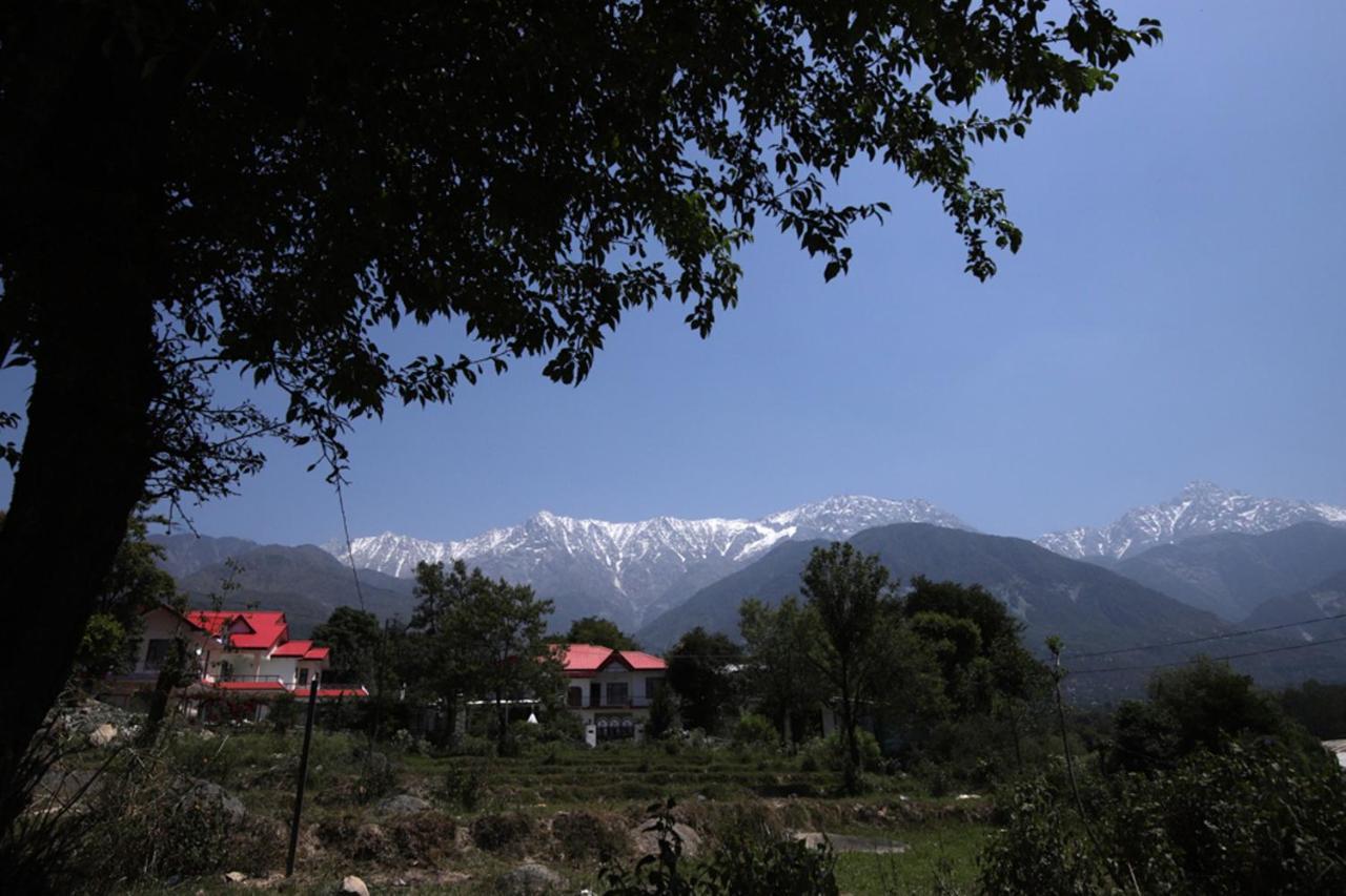 Hotel Harmony Blue Mcleodganj McLeod Ganj Zewnętrze zdjęcie